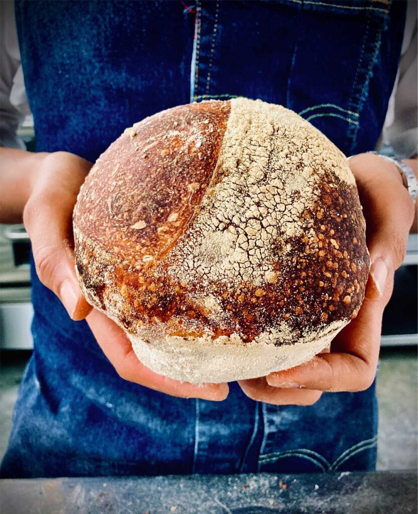 masa madre, pan de masa madre, sourdough